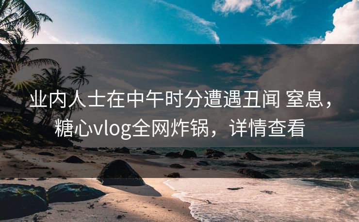 业内人士在中午时分遭遇丑闻 窒息,糖心vlog全网炸锅,详情查看 业内人士在中午时分遭遇丑闻 窒息,糖心vlog全网炸锅,详情查看