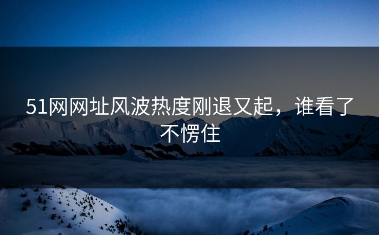 51网网址风波热度刚退又起,谁看了不愣住