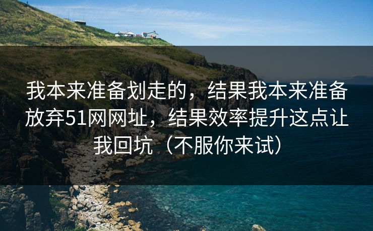 我本来准备划走的,结果我本来准备放弃51网网址,结果效率提升这点让我回坑(不服你来试)