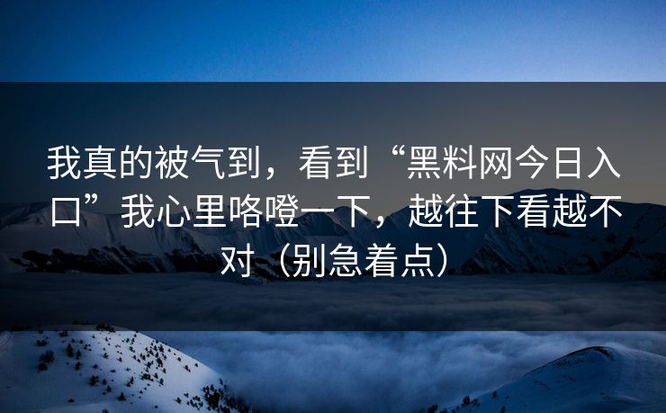 我真的被气到，看到“黑料网今日入口”我心里咯噔一下，越往下看越不对（别急着点）